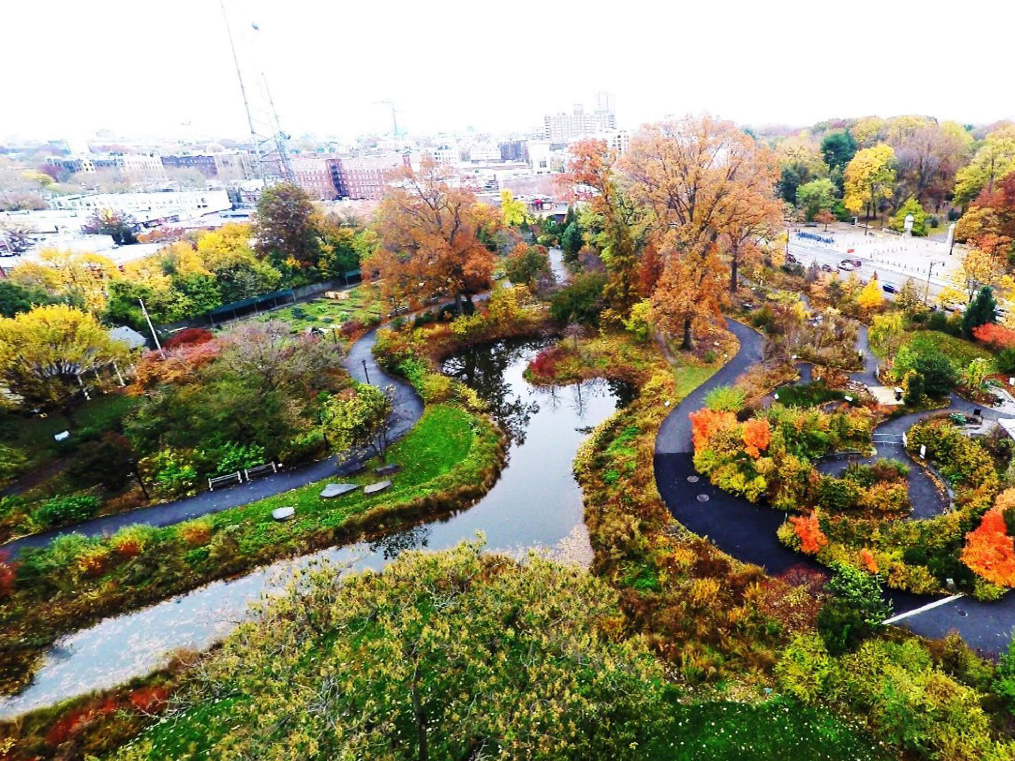 Brooklyn Botanic Garden