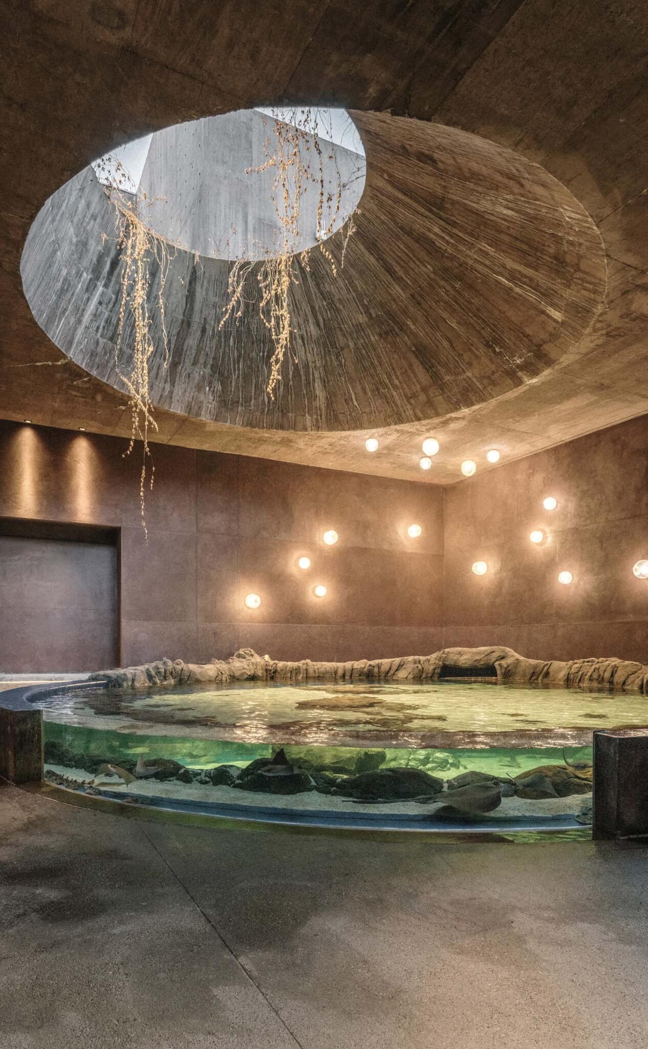 an oculus at the center of the aquarium